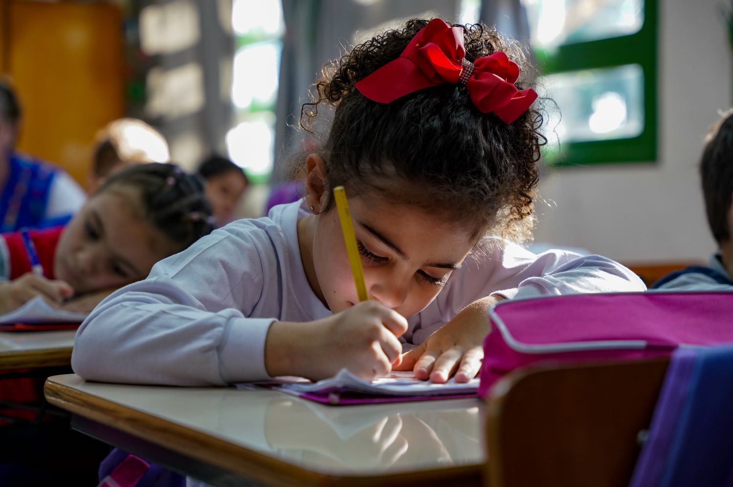 Mais de 280 mil estudantes estão matriculados nos anos iniciais e finais do ensino fundamental da rede estadual (Foto: Ricardo Wolffenbüttel/SECOM)