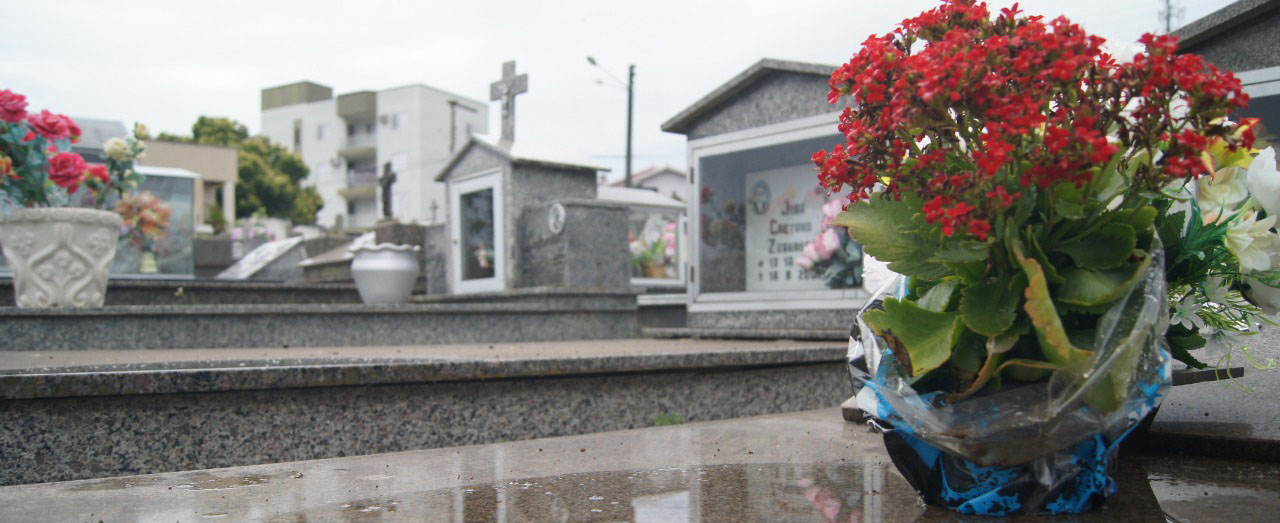 Vigilância pede que população evite de levar vasos com plásticos no cemitério