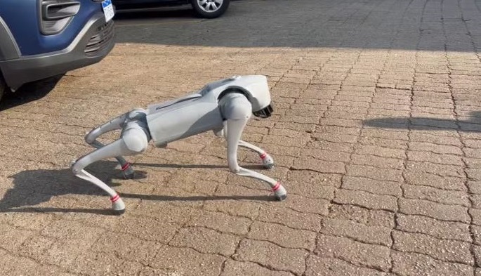 "Cachorro tecnológico" tem câmera acoplada (Foto: Divulgação)