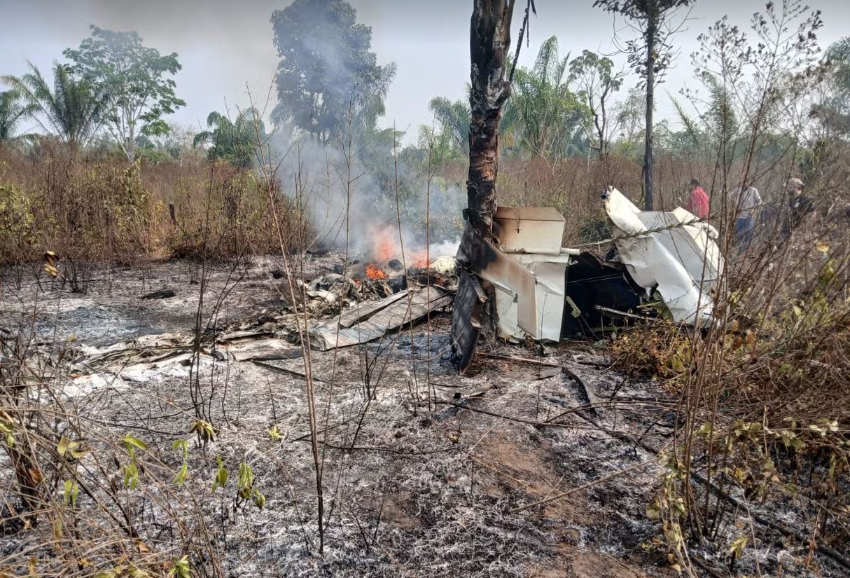 Fogo após queda de avião em fazenda de Apiacás (MT)  (Foto: Reprodução)