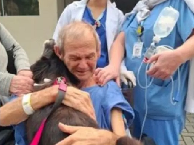 Paciente reencontra cachorrinha de estimação após alta da UTI