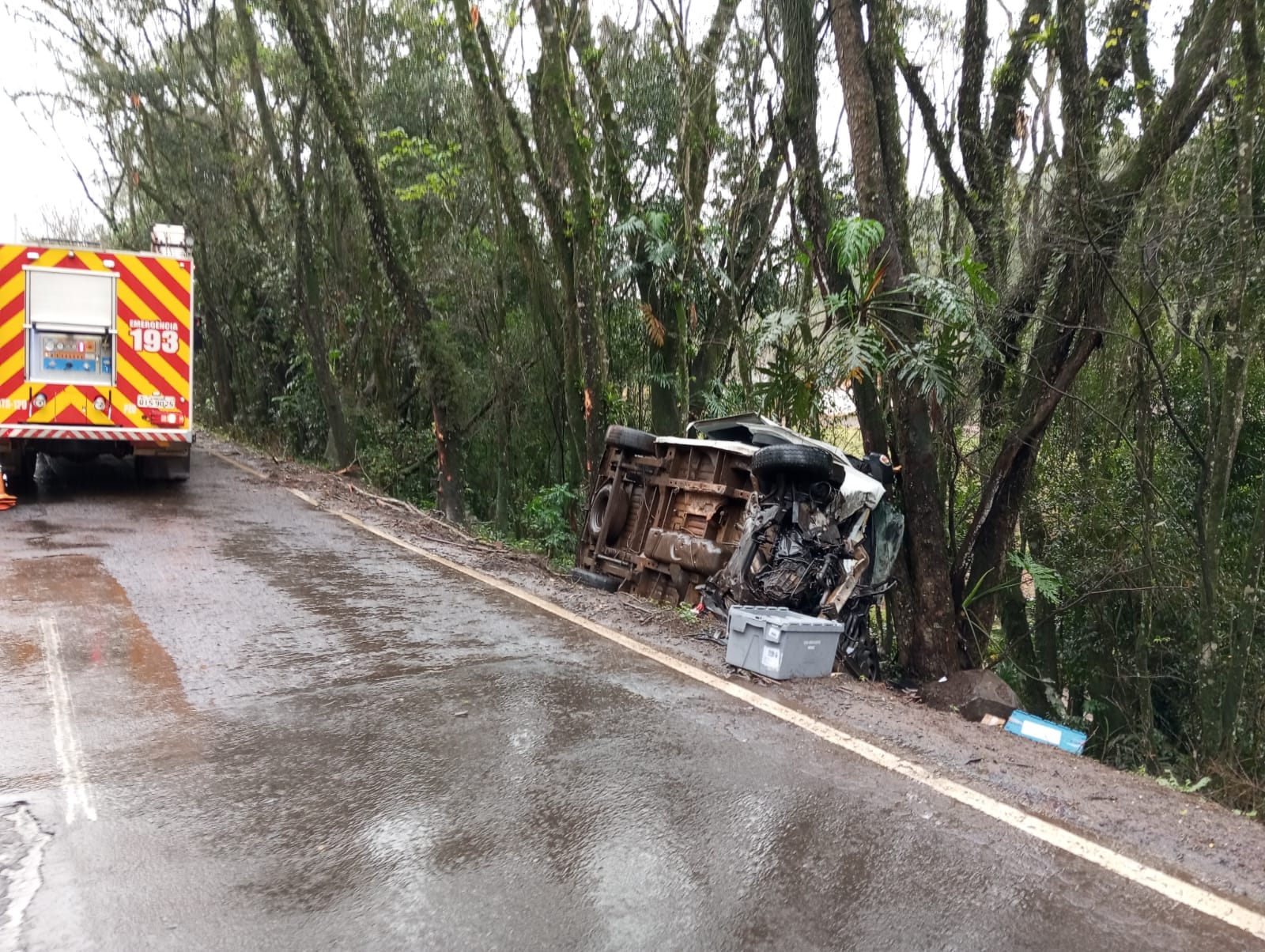 Carro ficou apoiado nas árvores  (Foto: Bombeiros )