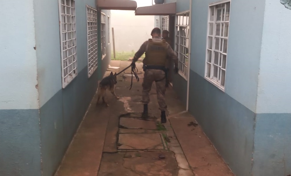 Cães farejadores foram usados no trabalho (Foto: Polícia Civil)