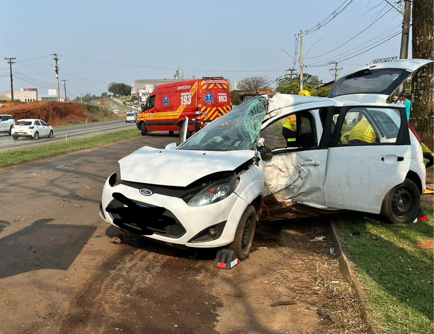 Automóvel “abraça” árvore em violento acidente