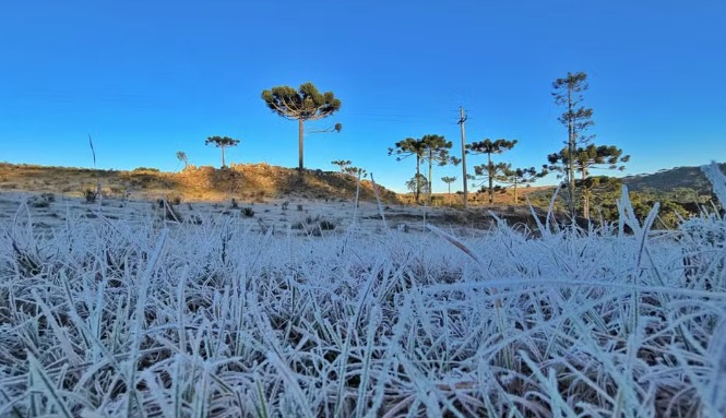 SC amanhece com formação de geada e termômetros abaixo de -3ºC (Foto: Mycchel Legnaghi/São Joaquim)