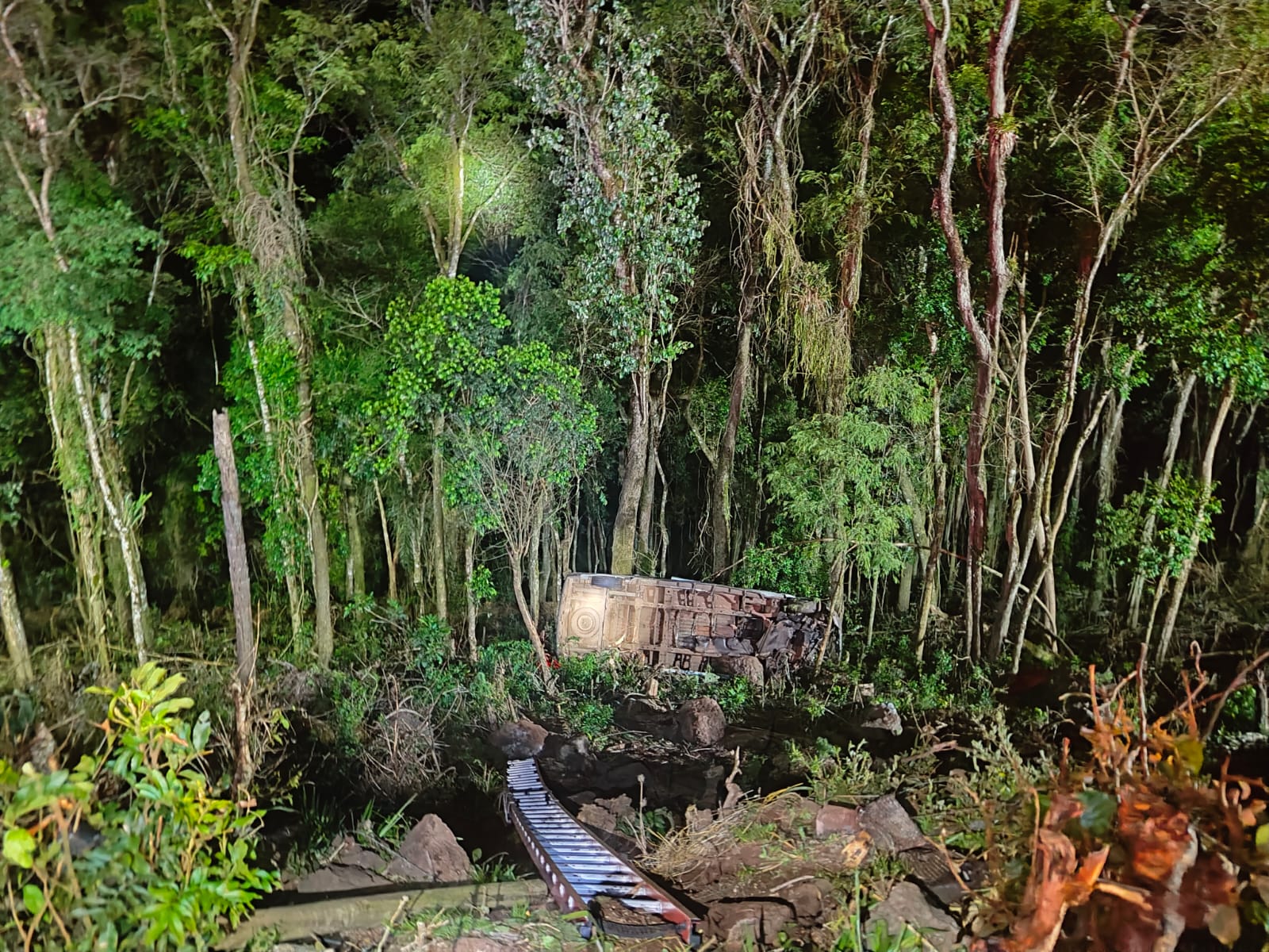 A van capotou em uma ribanceira de aproximadamente 10 metros (Foto: Divulgação CBM)