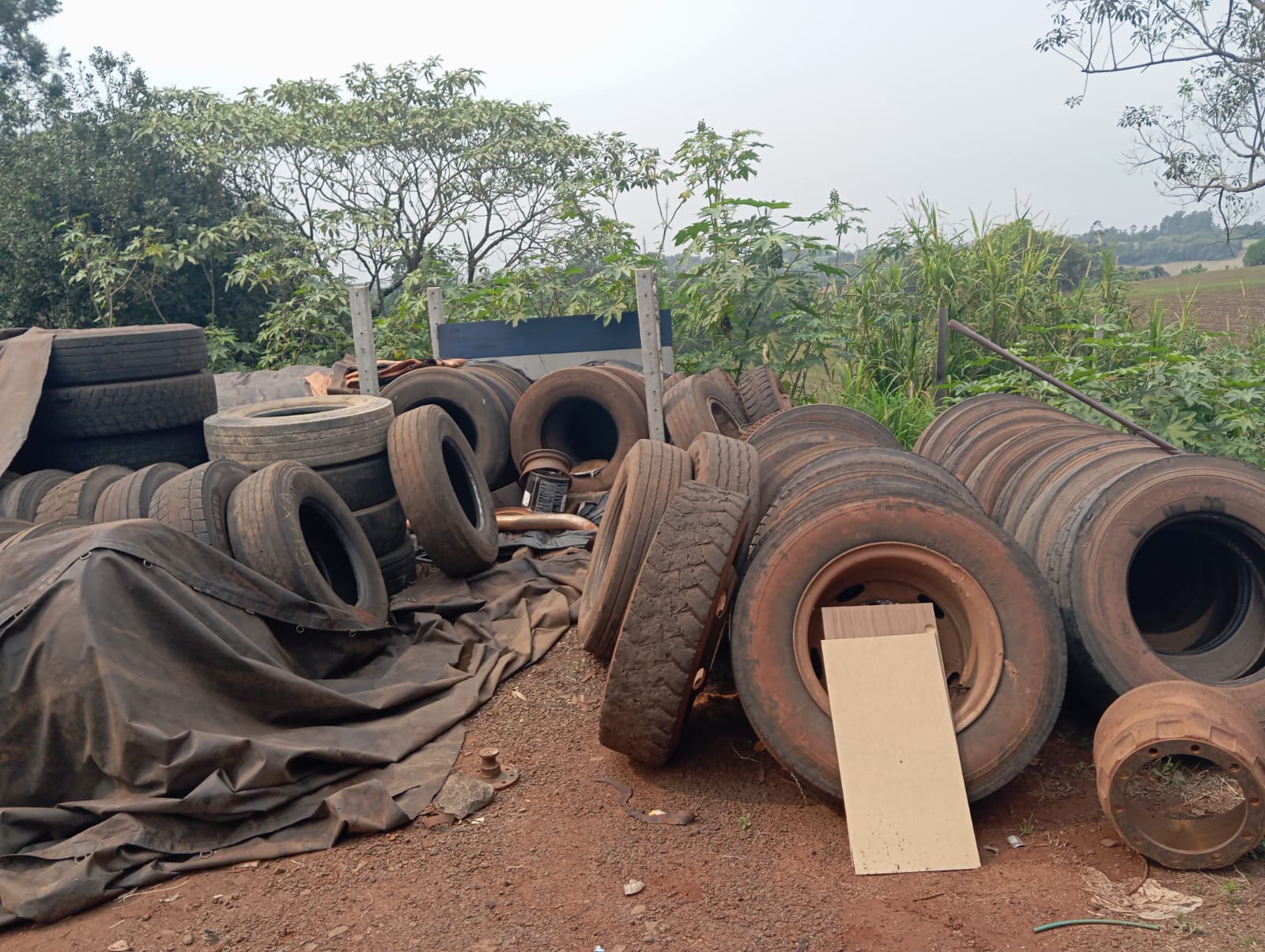 Risco de infestação para a dengue é baixo em Pinhalzinho (Foto: Divulgação)