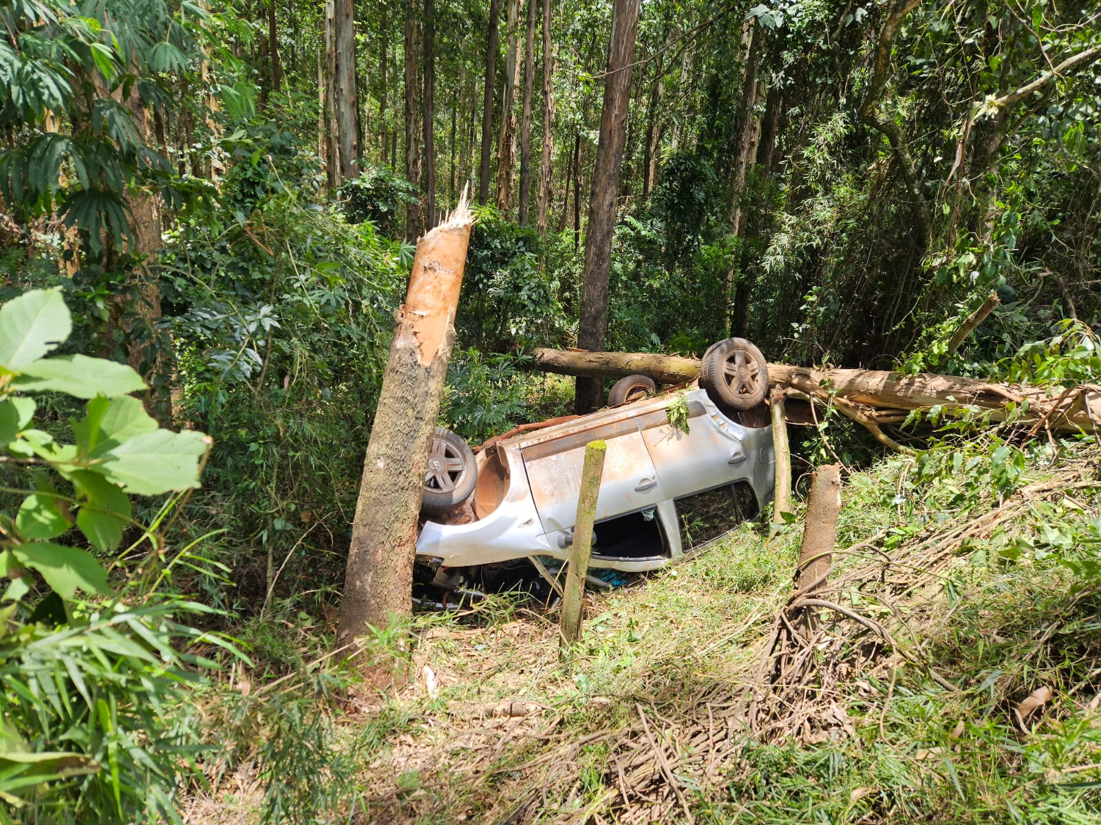 Mulher fica com a cabeça presa embaixo do carro após colidir em árvore