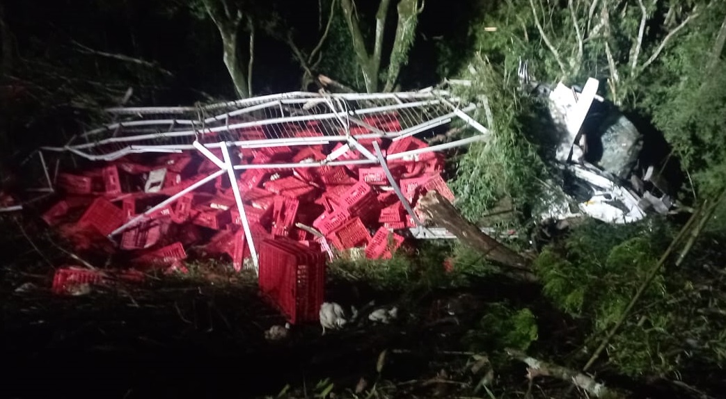 Caminhão tomba e aves ficam espalhadas em ribanceira