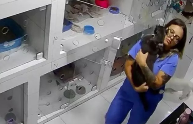 VÍDEO: Médica veterinária dança com gato que comeu cebola
