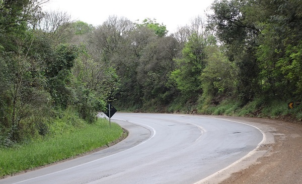 Curva da morte em Pinhalzinho (Foto: Henrique Paulo Koch)