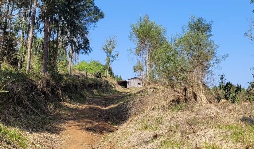 Localidade onde suspeitos teriam sido vistos por moradores (Foto: Divulgação)