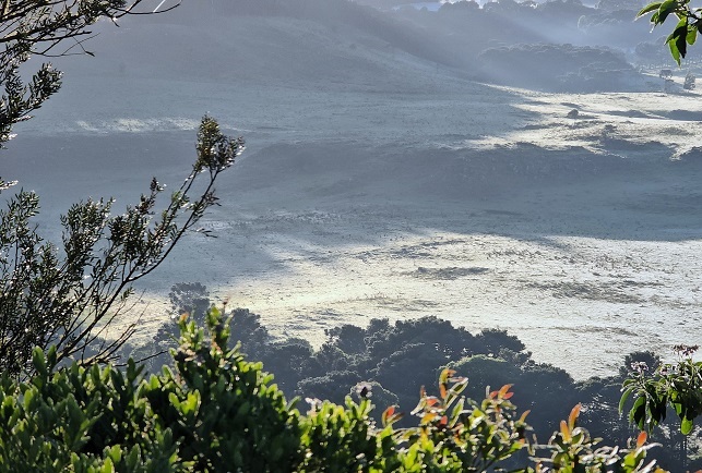 De acordo com a Epagri Ciram, a temperatura mínima no local foi de 1,97°C (Foto:  Mycchel Legnaghi )