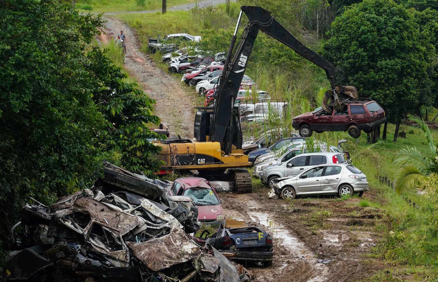 DETRAN fará operação para limpar pátios  (Foto: Ricardo Wolffenbüttel)