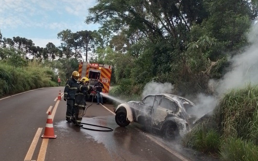 Automóvel foi destruído por incêndio (Foto: Corpo de Bombeiros)