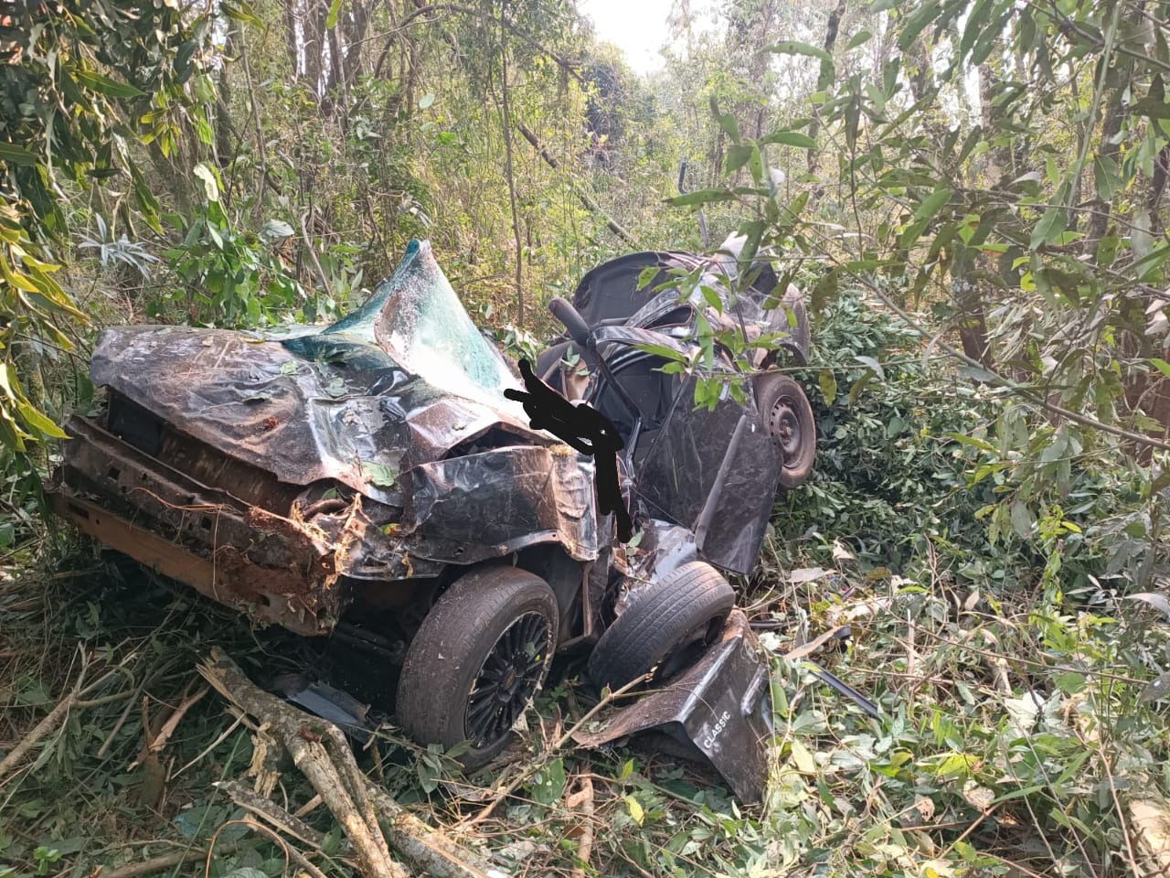 Automóvel estava em meio a matagal (Foto: Corpo de Bombeiros)