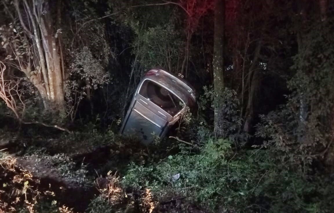 Automóvel parou próximo a árvores (Foto: Corpo de Bombeiros)