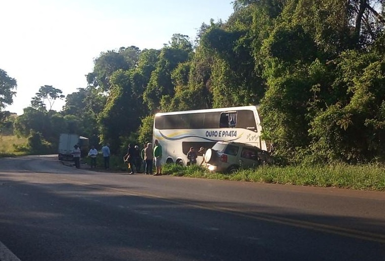 Colisão registrada na BR-282 (Foto: Redes sociais)