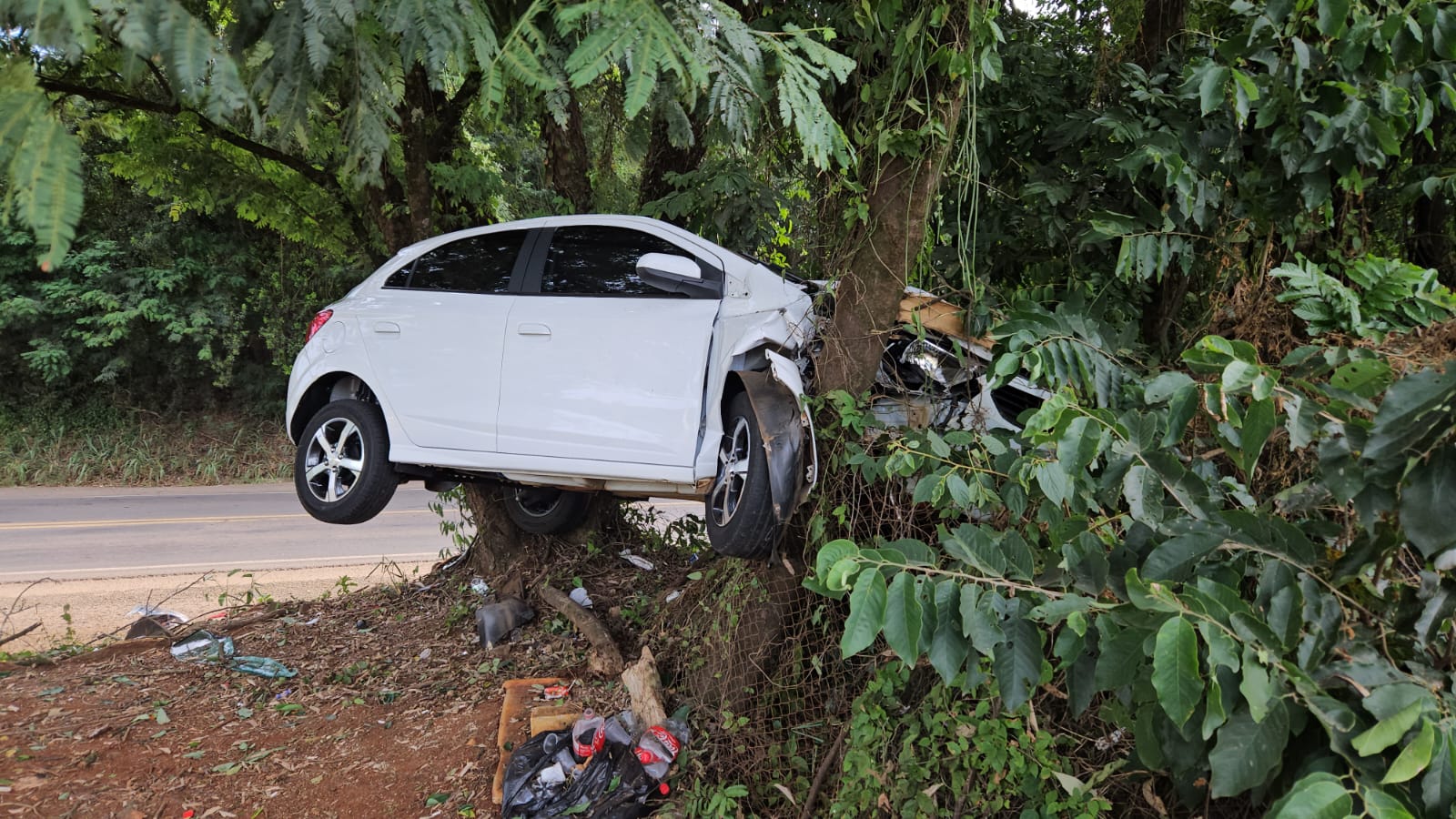 Automóvel “decolou” e cravou em vegetação (Foto: Marcos Lewe)