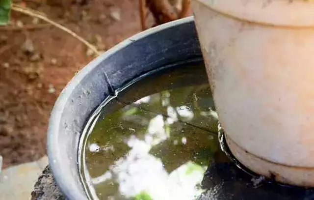 Fumacê será feito nesta tarde em três localidades de Pinhalzinho 