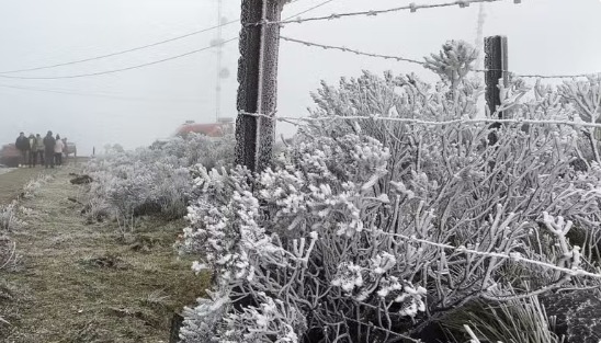 Frio e geada marcam o início da semana em Santa Catarina 