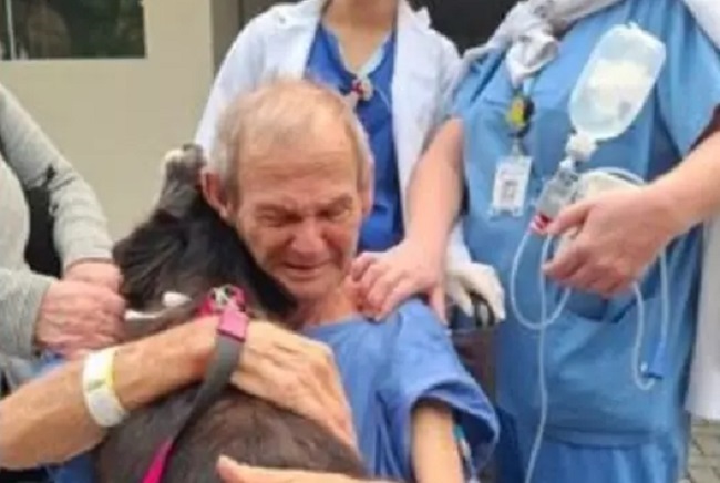 Paciente reencontra cachorrinha de estimação após alta da UTI