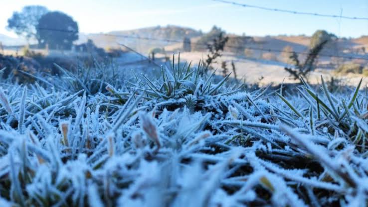 Nova onde de frio vai despencar as temperaturas em SC (Foto: Divulgação )