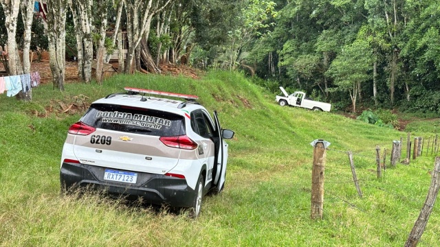 Meliante furta caminhonete, e alega ter roubado de um ladrão