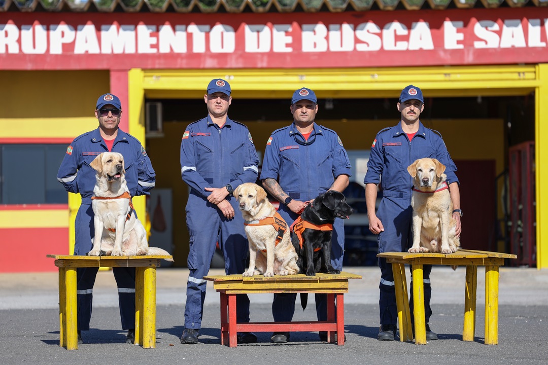 Bombeiros de SC são referência nacional em buscas e salvamentos com cães