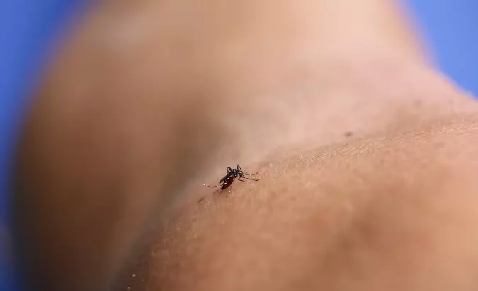 Pinhalzinho registra primeiro caso de dengue em 2024