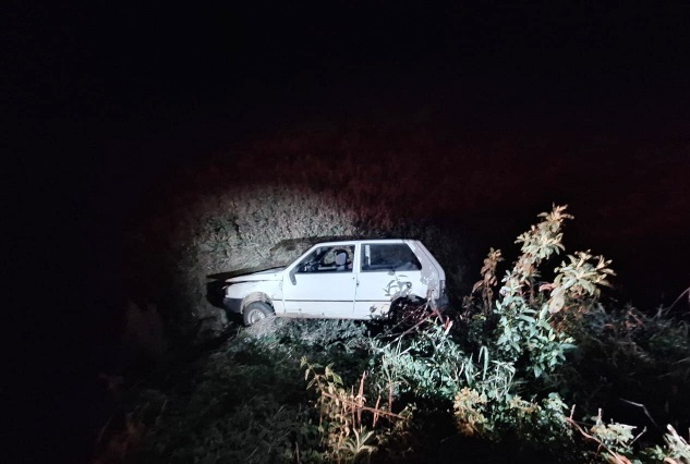 Carro parou em vegetação (Foto: Polícia Militar Rodoviária)