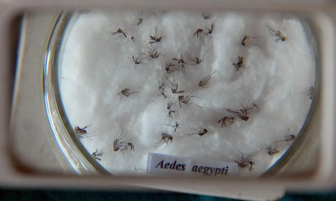 Primeiro caso de Dengue é confirmado em Nova Erechim 