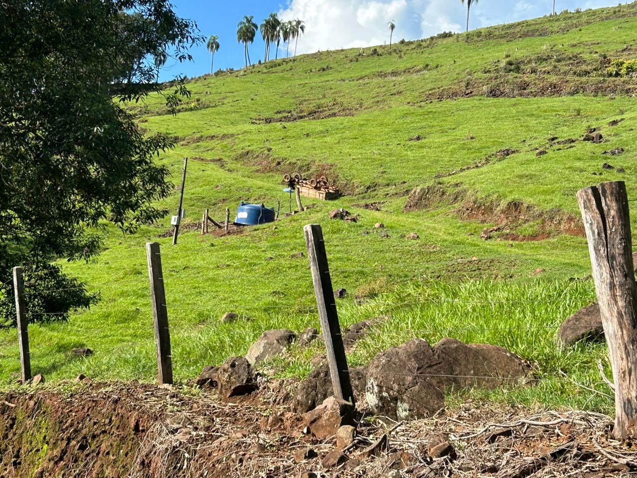 Jovem morre após carretinha agrícola tombar em Nova Itaberaba