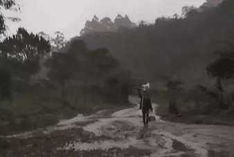 Filho mostra orgulho do pai carregando cesta básica na chuva