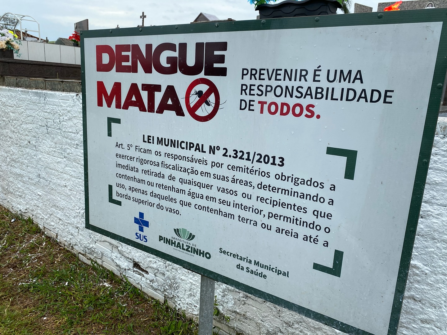 Vigilância encontra vasos de flores cheios de água no cemitério municipal