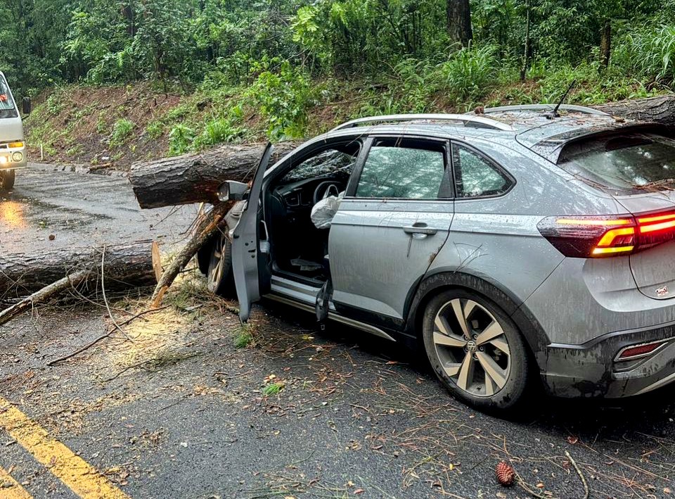 Fato impressionante na BR-282 (Foto: Divulgação)