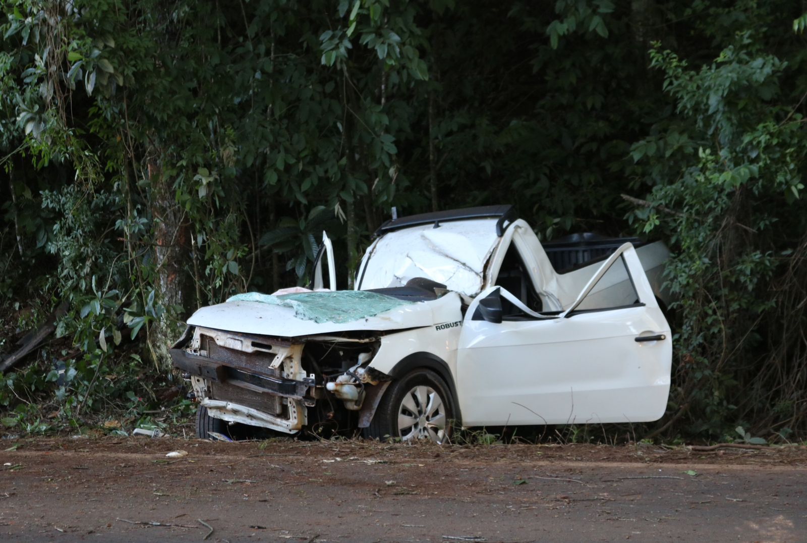 Ocupantes de veículo sobrevivem milagrosamente em Saudades