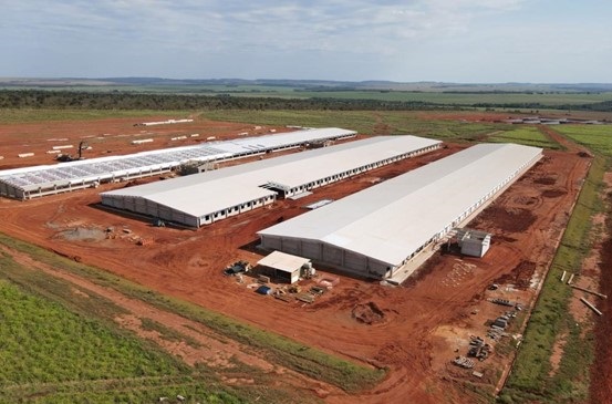 No Mato Grosso do Sul, a Ceraçá está construindo uma granja para a Cooperalfa (Foto: Reprodução)
