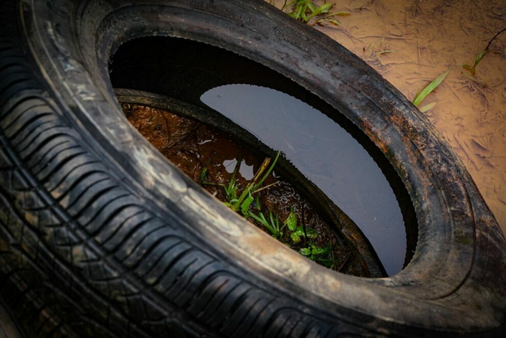 Mutirão contra a dengue será nesta quarta na cidade de Saudades  (Foto: Divulgação )