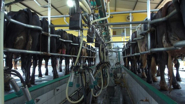Crise no setor leiteiro mobiliza produtores rurais  (Foto: Reprodução/Site Giro do Boi)