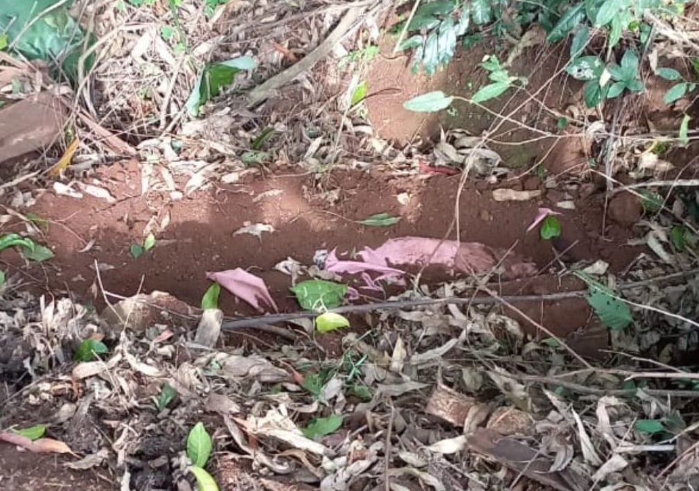 Vítima estava enterrada em cova (Foto: Polícia Civil)