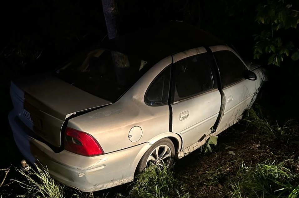 Mulher sofre traumatismo craniano ao bater carro em árvore